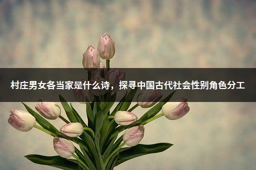 村庄男女各当家是什么诗，探寻中国古代社会性别角色分工-1