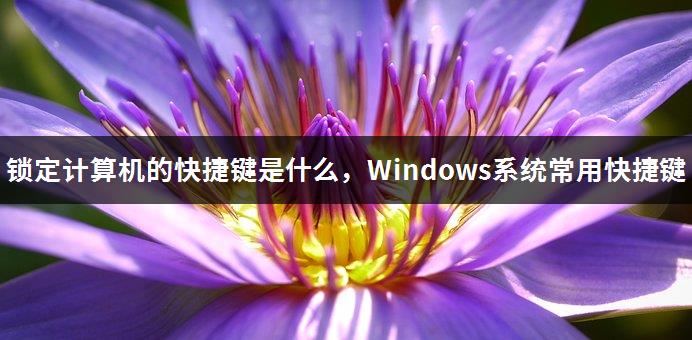 锁定计算机的快捷键是什么，Windows系统常用快捷键-1